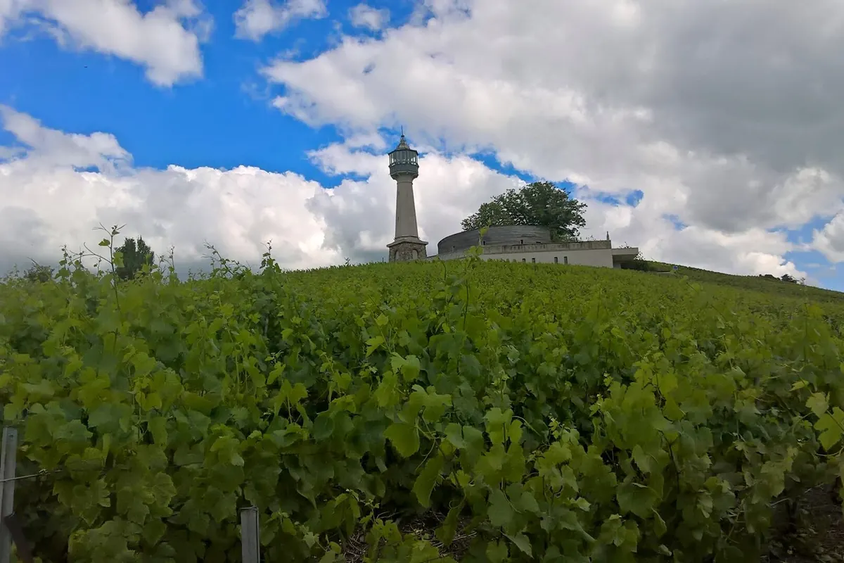 Le phare de Verzenay dominant les vignes de la Montagne de Reims